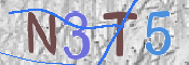 To prevent spam, please prove you are a real person by typing the characters you see in this box into the box below.
