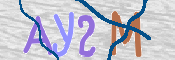 To prevent spam, please prove you are a real person by typing the characters you see in this box into the box below.