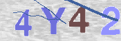 To prevent spam, please prove you are a real person by typing the characters you see in this box into the box below.