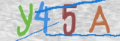 To prevent spam, please prove you are a real person by typing the characters you see in this box into the box below.