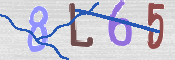 To prevent spam, please prove you are a real person by typing the characters you see in this box into the box below.