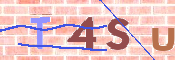 To prevent spam, please prove you are a real person by typing the characters you see in this box into the box below.