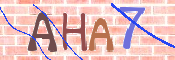 To prevent spam, please prove you are a real person by typing the characters you see in this box into the box below.