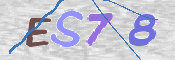 To prevent spam, please prove you are a real person by typing the characters you see in this box into the box below.