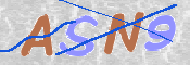 To prevent spam, please prove you are a real person by typing the characters you see in this box into the box below.