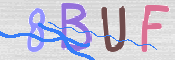 To prevent spam, please prove you are a real person by typing the characters you see in this box into the box below.