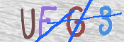 To prevent spam, please prove you are a real person by typing the characters you see in this box into the box below.