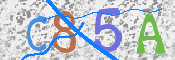To prevent spam, please prove you are a real person by typing the characters you see in this box into the box below.