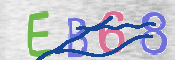 To prevent spam, please prove you are a real person by typing the characters you see in this box into the box below.