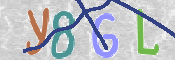 To prevent spam, please prove you are a real person by typing the characters you see in this box into the box below.