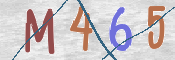 To prevent spam, please prove you are a real person by typing the characters you see in this box into the box below.