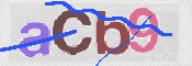 To prevent spam, please prove you are a real person by typing the characters you see in this box into the box below.