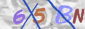To prevent spam, please prove you are a real person by typing the characters you see in this box into the box below.