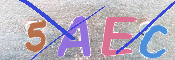 To prevent spam, please prove you are a real person by typing the characters you see in this box into the box below.