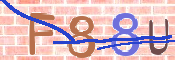 To prevent spam, please prove you are a real person by typing the characters you see in this box into the box below.