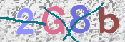 To prevent spam, please prove you are a real person by typing the characters you see in this box into the box below.