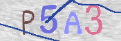 To prevent spam, please prove you are a real person by typing the characters you see in this box into the box below.