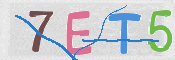 To prevent spam, please prove you are a real person by typing the characters you see in this box into the box below.