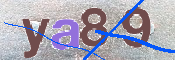 To prevent spam, please prove you are a real person by typing the characters you see in this box into the box below.