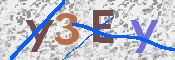 To prevent spam, please prove you are a real person by typing the characters you see in this box into the box below.