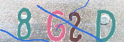 To prevent spam, please prove you are a real person by typing the characters you see in this box into the box below.