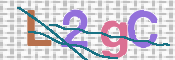 To prevent spam, please prove you are a real person by typing the characters you see in this box into the box below.