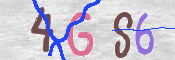 To prevent spam, please prove you are a real person by typing the characters you see in this box into the box below.