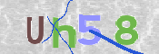To prevent spam, please prove you are a real person by typing the characters you see in this box into the box below.
