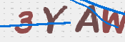 To prevent spam, please prove you are a real person by typing the characters you see in this box into the box below.