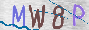 To prevent spam, please prove you are a real person by typing the characters you see in this box into the box below.