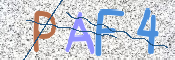 To prevent spam, please prove you are a real person by typing the characters you see in this box into the box below.