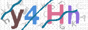 To prevent spam, please prove you are a real person by typing the characters you see in this box into the box below.