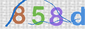To prevent spam, please prove you are a real person by typing the characters you see in this box into the box below.
