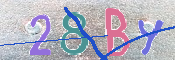 To prevent spam, please prove you are a real person by typing the characters you see in this box into the box below.