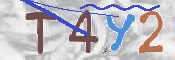 To prevent spam, please prove you are a real person by typing the characters you see in this box into the box below.