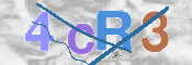 To prevent spam, please prove you are a real person by typing the characters you see in this box into the box below.