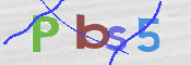 To prevent spam, please prove you are a real person by typing the characters you see in this box into the box below.