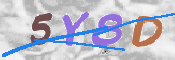 To prevent spam, please prove you are a real person by typing the characters you see in this box into the box below.