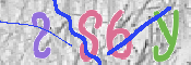 To prevent spam, please prove you are a real person by typing the characters you see in this box into the box below.