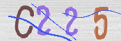 To prevent spam, please prove you are a real person by typing the characters you see in this box into the box below.