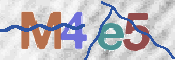 To prevent spam, please prove you are a real person by typing the characters you see in this box into the box below.