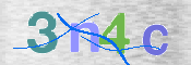 To prevent spam, please prove you are a real person by typing the characters you see in this box into the box below.