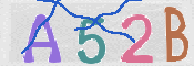 To prevent spam, please prove you are a real person by typing the characters you see in this box into the box below.