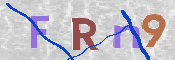 To prevent spam, please prove you are a real person by typing the characters you see in this box into the box below.