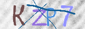 To prevent spam, please prove you are a real person by typing the characters you see in this box into the box below.
