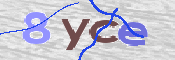 To prevent spam, please prove you are a real person by typing the characters you see in this box into the box below.