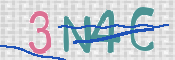 To prevent spam, please prove you are a real person by typing the characters you see in this box into the box below.