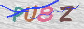To prevent spam, please prove you are a real person by typing the characters you see in this box into the box below.