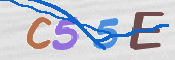 To prevent spam, please prove you are a real person by typing the characters you see in this box into the box below.