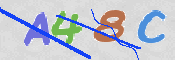 To prevent spam, please prove you are a real person by typing the characters you see in this box into the box below.